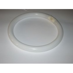 General Service Light Bulb